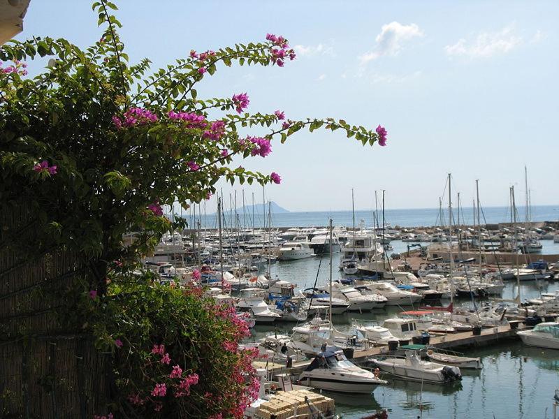 Hotel La Casa Degli Artisti 1 Nettuno Zewnętrze zdjęcie